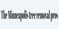 The Minneapolis Tree Removal Pros