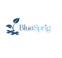Trumpet Behavioral Health, a division of BlueSprig