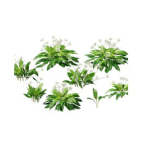 UE5 tree 3D Model