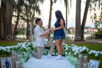 Orlando Proposal Packages