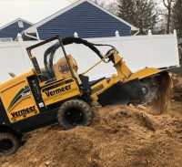 Stump Grinding/Removal | Stump Busters