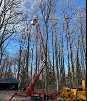 Woodpeckers Tree Services