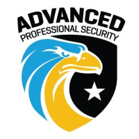 Advanced Security Professional Services