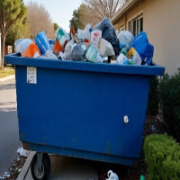 Nathan Dumpster