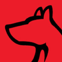 Sit Means Sit Dog Training Lansing