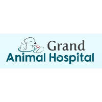Grand Animal Hospital