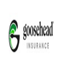 Goosehead Insurance – Ali Abdelaziz