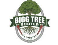 Bigg Tree Rooter & Plumbing