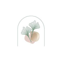 Holistic Smiles Dental Wellness