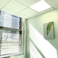 Apex Acupuncture And Chiropractic-Downtown