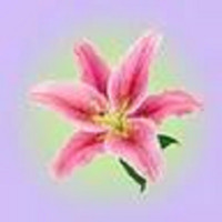 Scentasy