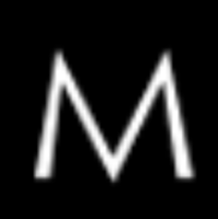 Marc Malek M.D.