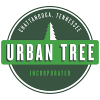 Urban Tree