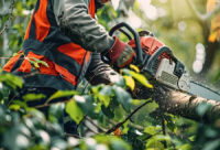 Norco Tree Service