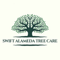 Swift Alameda Tree Care
