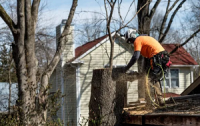 Menifee Tree Service