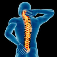 Nestor Chiropractor