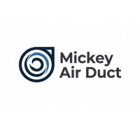 Mickey Air Duct