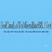 Soi cầu 247
