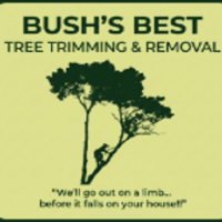 Bush's Best Tree Care and Removal