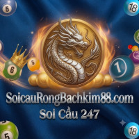 Soi cầu Rồng Bạch Kim 88