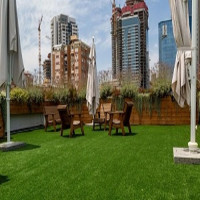 Saint Petersburg Artificial Grass Pros