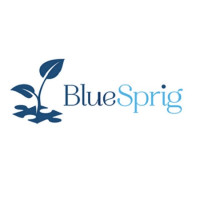 Florida Autism Center Apopka, a division of BlueSprig