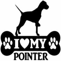 groomer has pet salon & spa