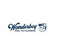 Wonder Boy Pool Tile Cleaning