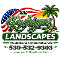 Sal Rodriguez Landscapes