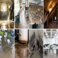 Water Damage Restoration San Antonio