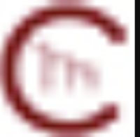 CaMu Financial & Insurance Services Inc.