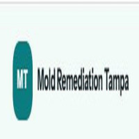 Mold Remediation Guys of Tampa Florida
