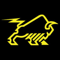 Bison Roofing