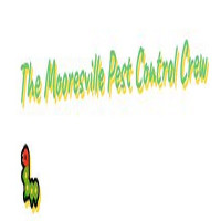 The Mooresville Pest Control Team