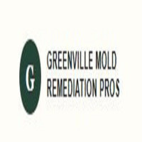 Greenville Mold Remediation Pros