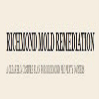 Richmond Mold Remediation