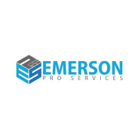Emerson Pro Services