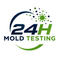 24H Mold Testing