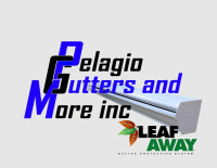 Pelagio Gutters and More Inc