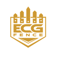 ECG FENCE
