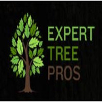 Expert Tree Pros