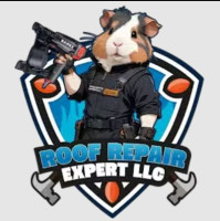 Roof Repair Expert LLC #3
