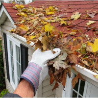 The Gutter Guys and Gals of Michigan