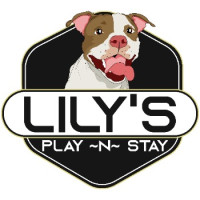Lily's Play-N-Stay