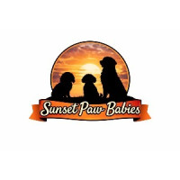 Sunset Paw Babies