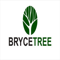 Bryce Tree Service