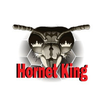 Hornet King LLC