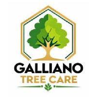 Galliano Tree Care