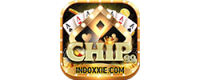 Chip99